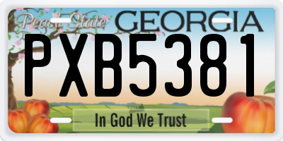 GA license plate PXB5381