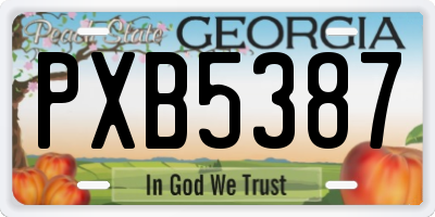 GA license plate PXB5387