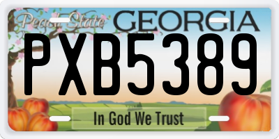 GA license plate PXB5389