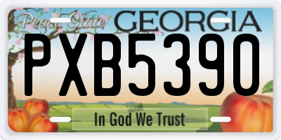 GA license plate PXB5390