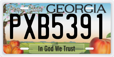 GA license plate PXB5391