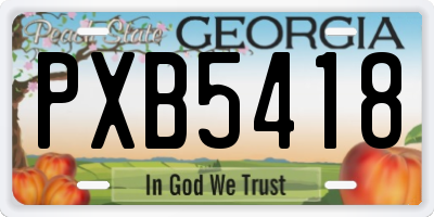 GA license plate PXB5418