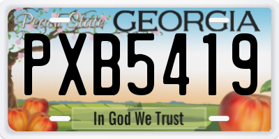 GA license plate PXB5419