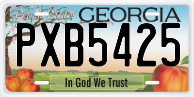GA license plate PXB5425