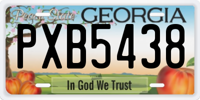 GA license plate PXB5438