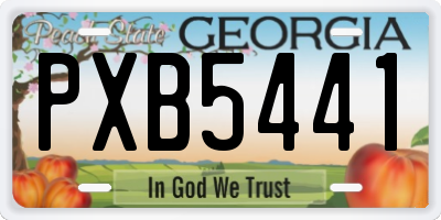 GA license plate PXB5441