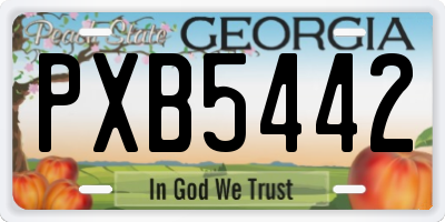 GA license plate PXB5442
