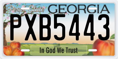GA license plate PXB5443