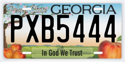 GA license plate PXB5444