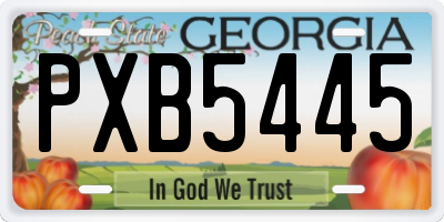 GA license plate PXB5445