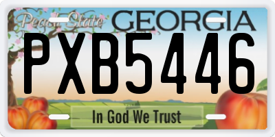 GA license plate PXB5446