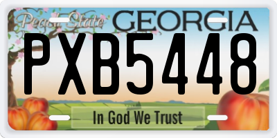 GA license plate PXB5448