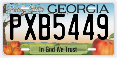 GA license plate PXB5449