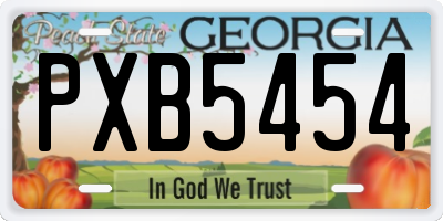 GA license plate PXB5454