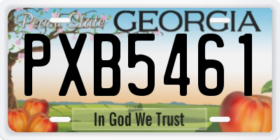 GA license plate PXB5461