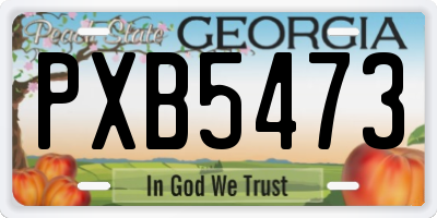 GA license plate PXB5473