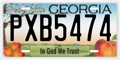 GA license plate PXB5474