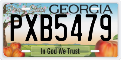 GA license plate PXB5479