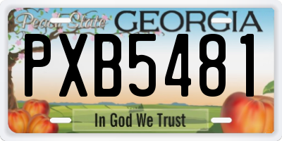 GA license plate PXB5481