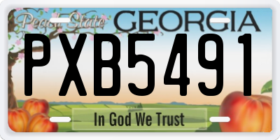 GA license plate PXB5491