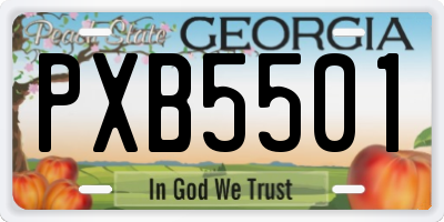 GA license plate PXB5501