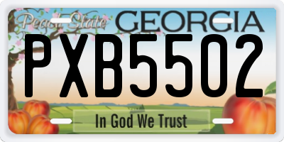 GA license plate PXB5502
