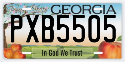GA license plate PXB5505