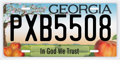 GA license plate PXB5508