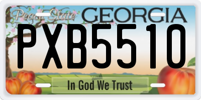 GA license plate PXB5510