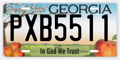 GA license plate PXB5511