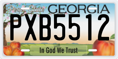 GA license plate PXB5512
