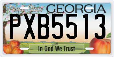 GA license plate PXB5513