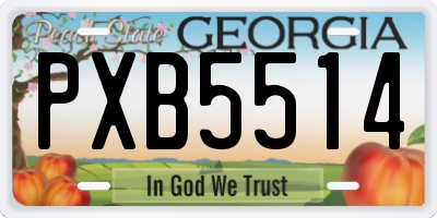 GA license plate PXB5514