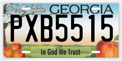 GA license plate PXB5515