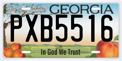 GA license plate PXB5516