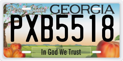 GA license plate PXB5518