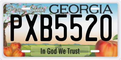 GA license plate PXB5520
