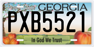GA license plate PXB5521