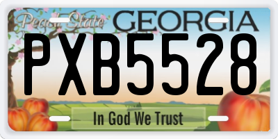 GA license plate PXB5528