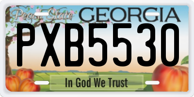GA license plate PXB5530