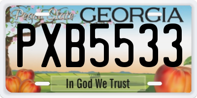 GA license plate PXB5533