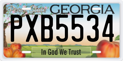 GA license plate PXB5534