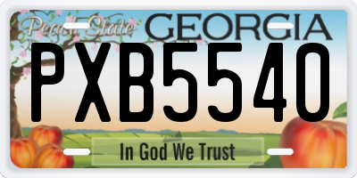 GA license plate PXB5540