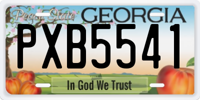 GA license plate PXB5541