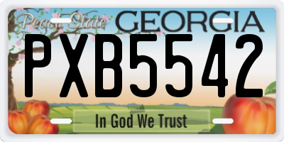GA license plate PXB5542