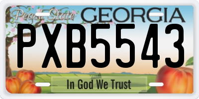 GA license plate PXB5543