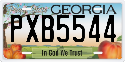 GA license plate PXB5544