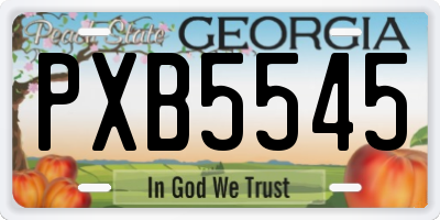 GA license plate PXB5545