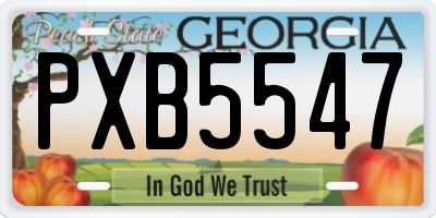 GA license plate PXB5547