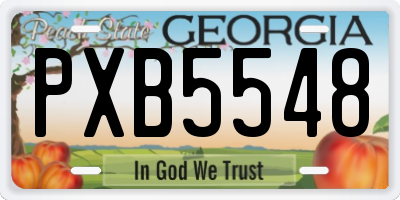 GA license plate PXB5548